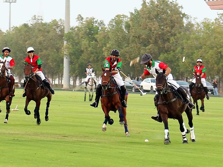 1.2126417-3624549926