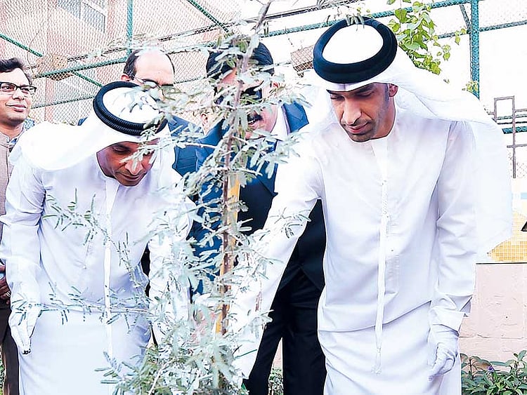 1.2127547-2069636377