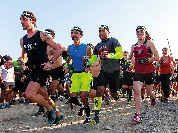 1.2128075-3379431523