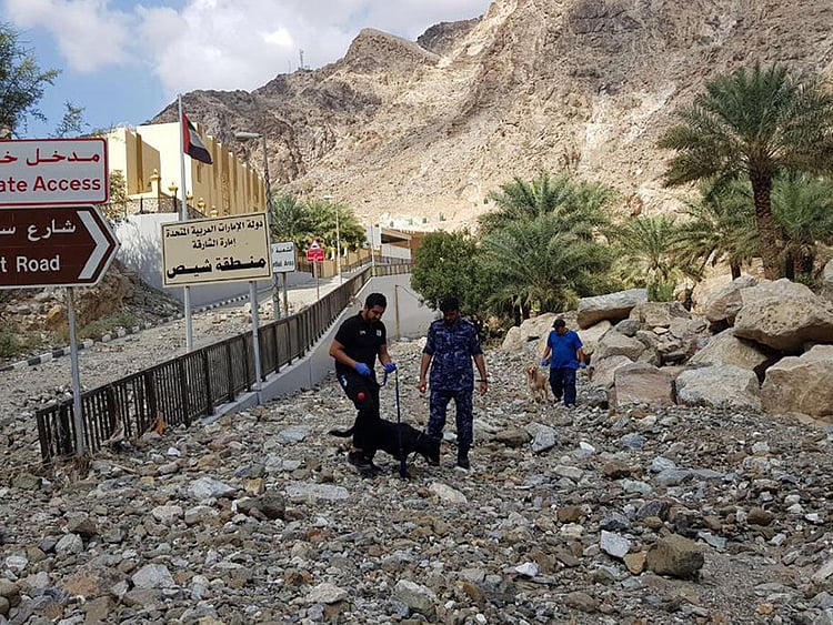 1.2128667-2162765946