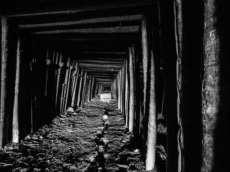 1.2128804-3825828464