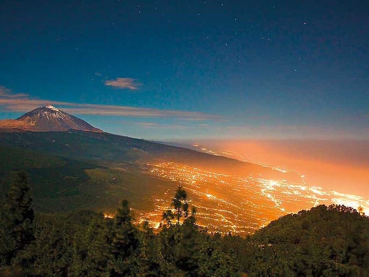 1.2129271-3352348589