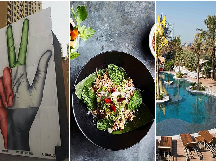 1.2129284-2619558610