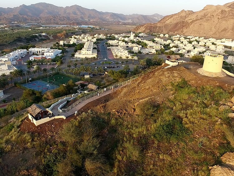 1.2130451-1605831562