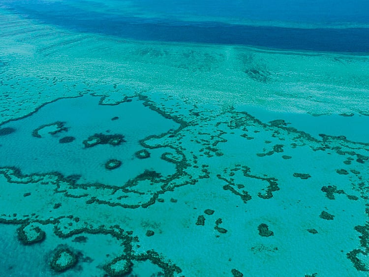 1.2130722-3536455405