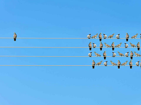 iStock