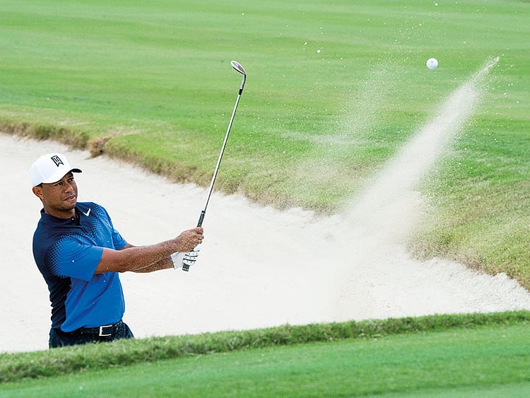 1.2132568-2602641913