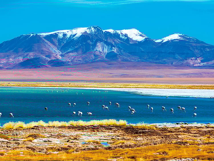 1.2115389-1231501085