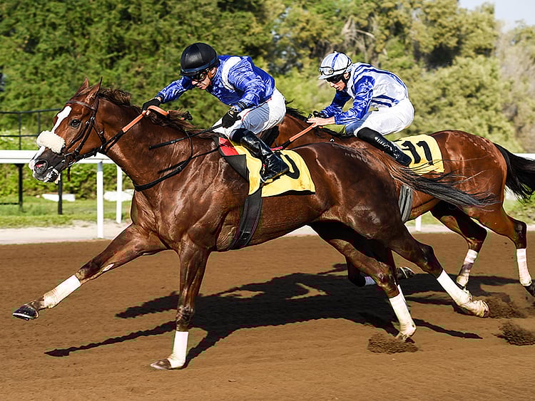 1.2118252-3418469622