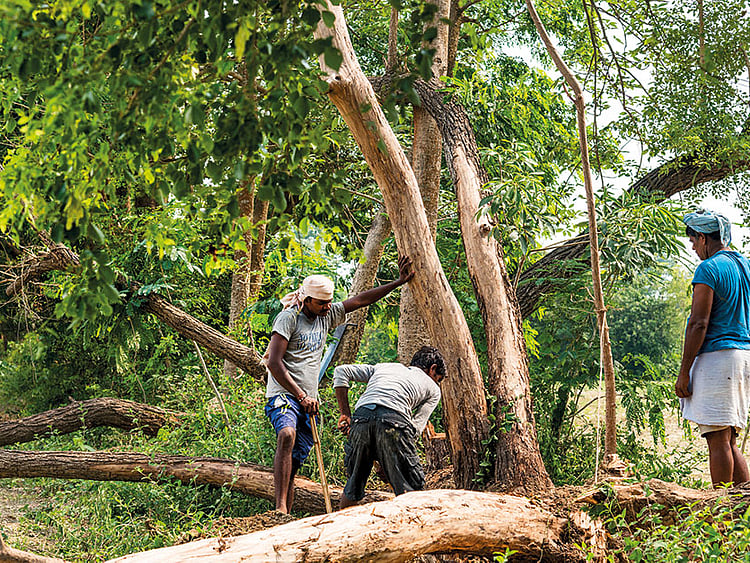 1.2119040-2788417867