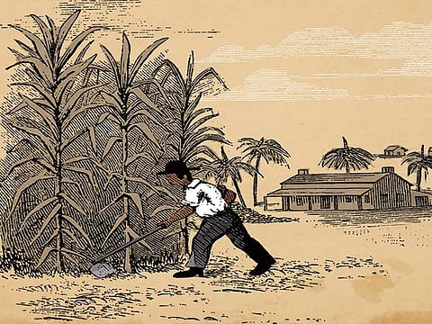 Luis Vazquez/Gulf News