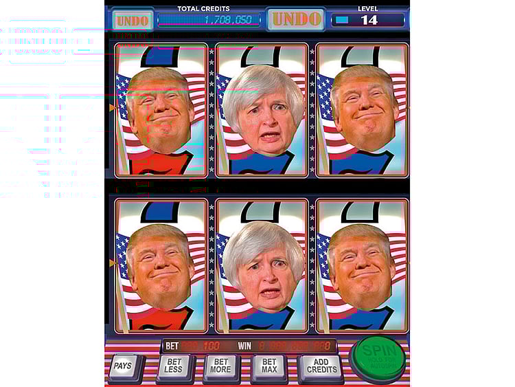 1.2121646-2443900020