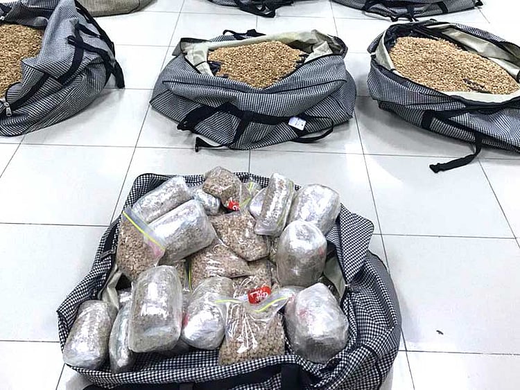 1.2138229-2922848172