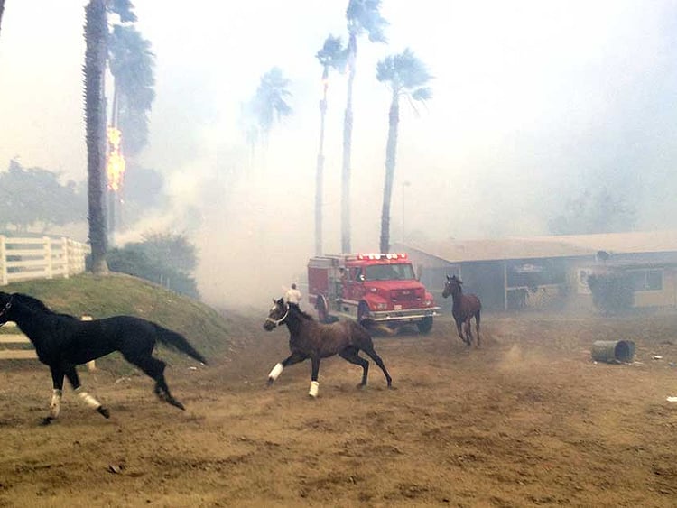 1.2138268-1445551712