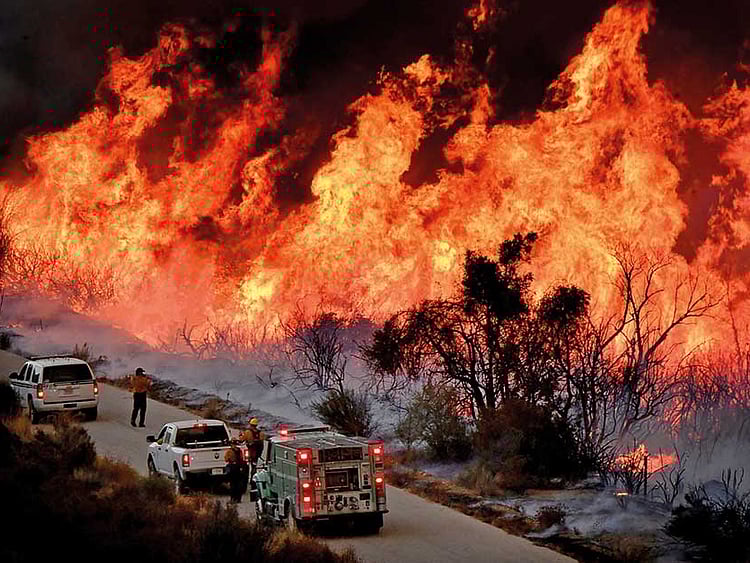 1.2138273-1799976912