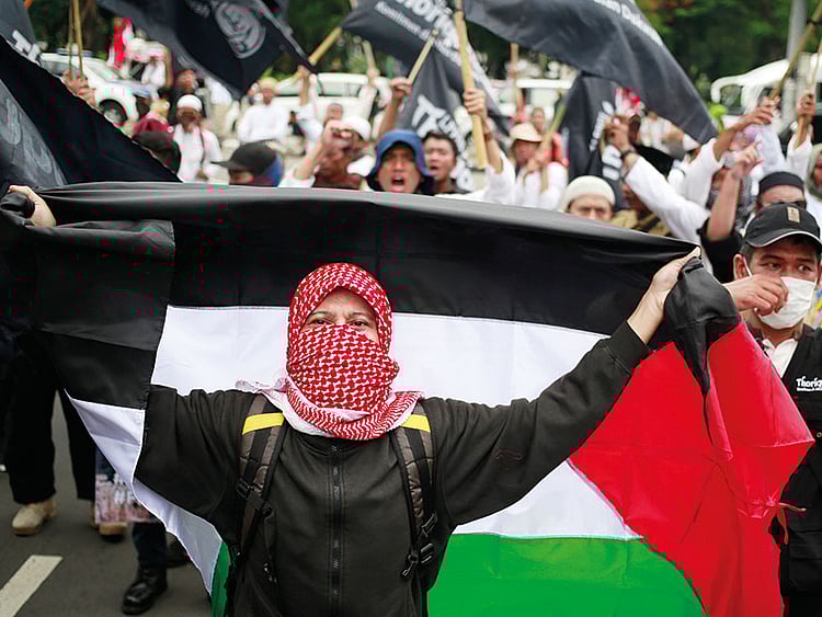 1.2138865-1671176727