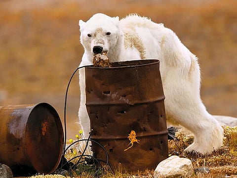 Courtesy National Geographic