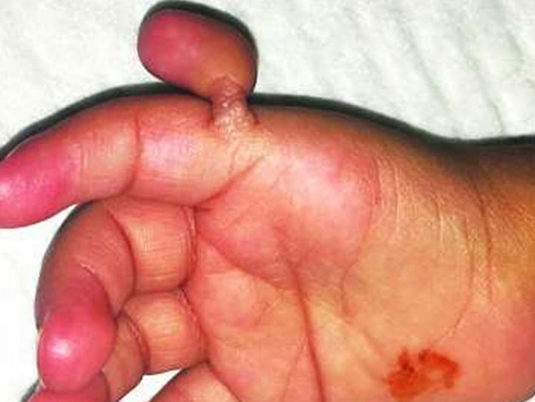 1.2138597-3974465383