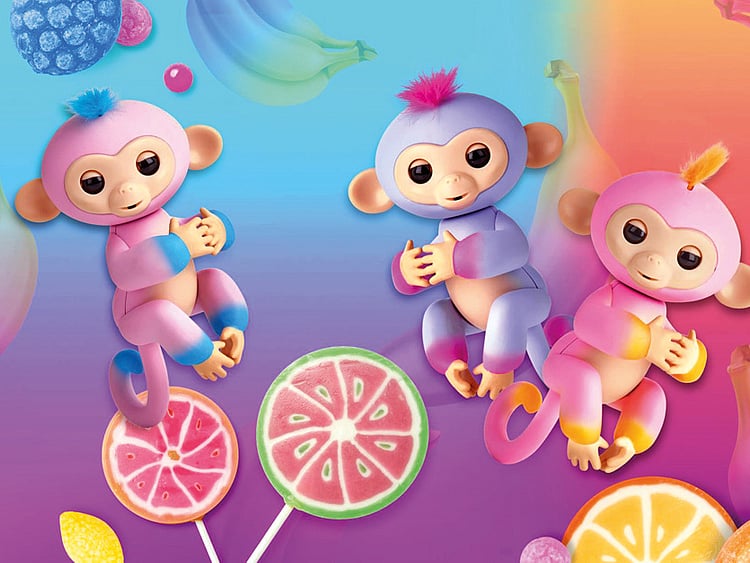 1.2139562-3885076407