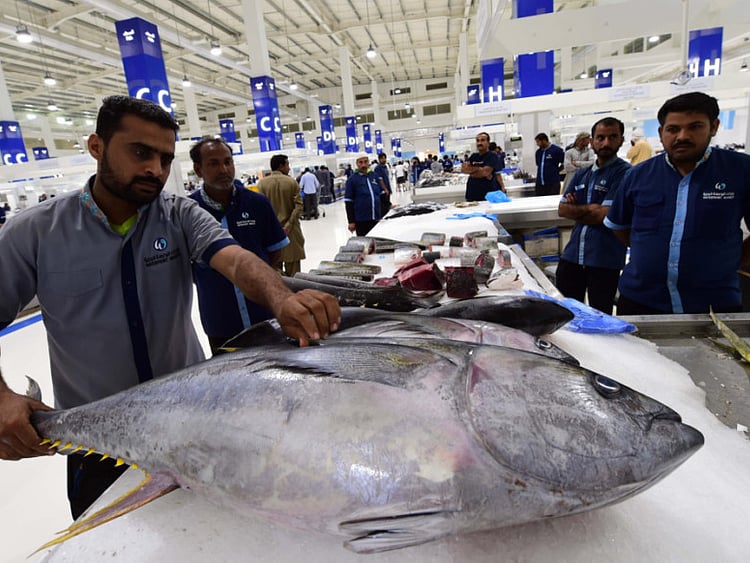 1.2140281-2224867231