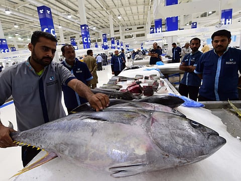 XPRESS/Atiq ur Rehman