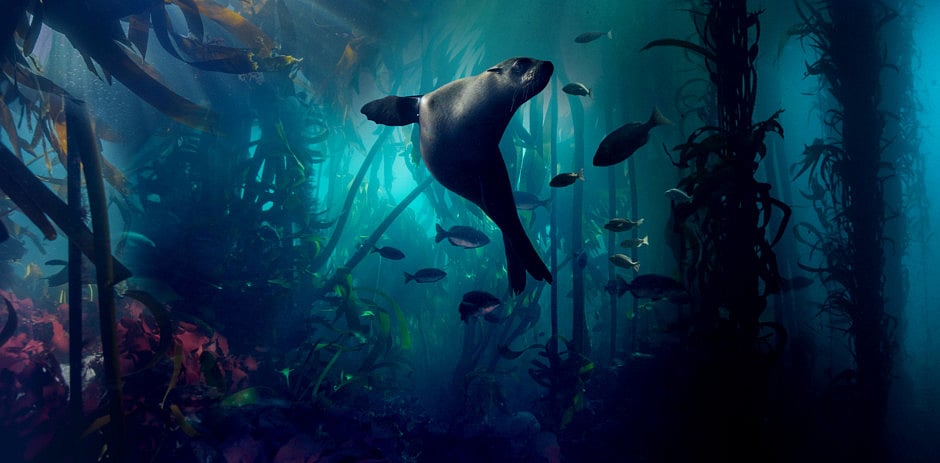 1.2140469-1100223928