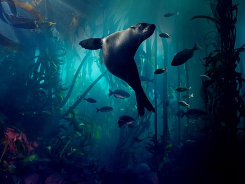 Photography copyright BBC/Lisa L