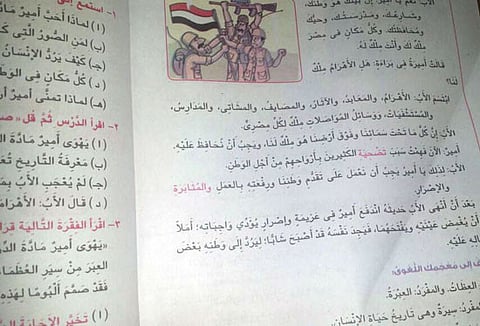 Egypt opens probe over textbook flag