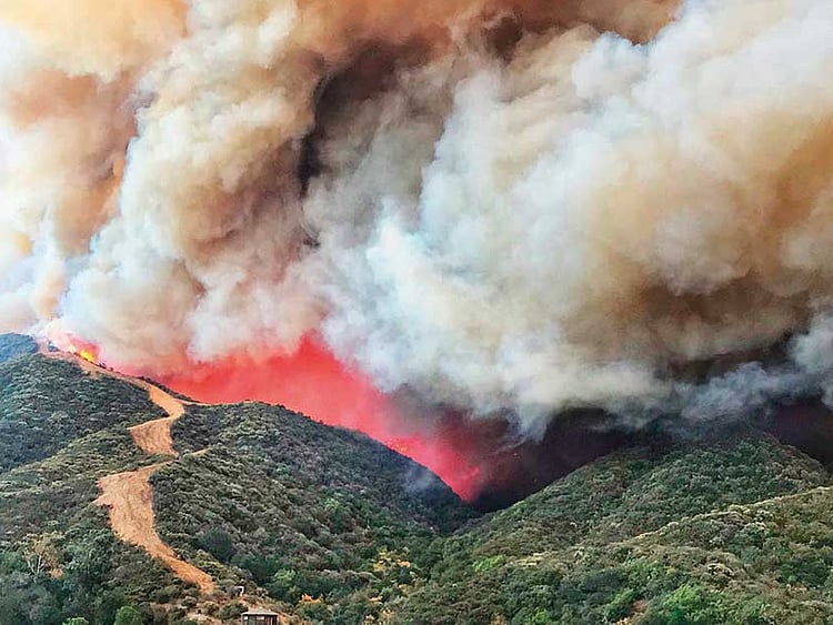 1.2142429-1530477585