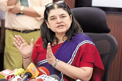 Meneka Gandhi warns Bollywood on sexual harassment
