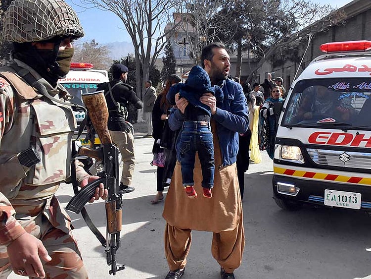 1.2142396-3834054413