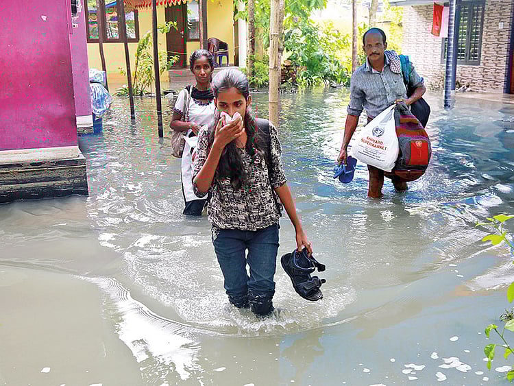 1.2133895-1572490705