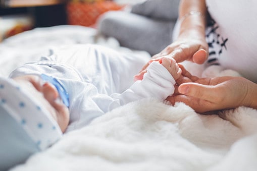 1.2144343-3026269079