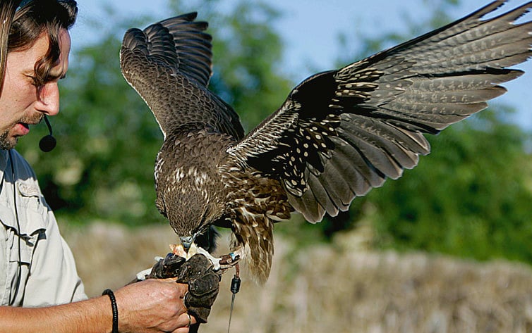 1.2144710-2080676762