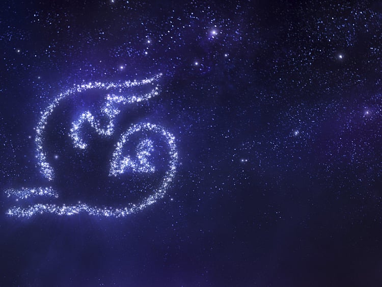 1.2154913-1113464295