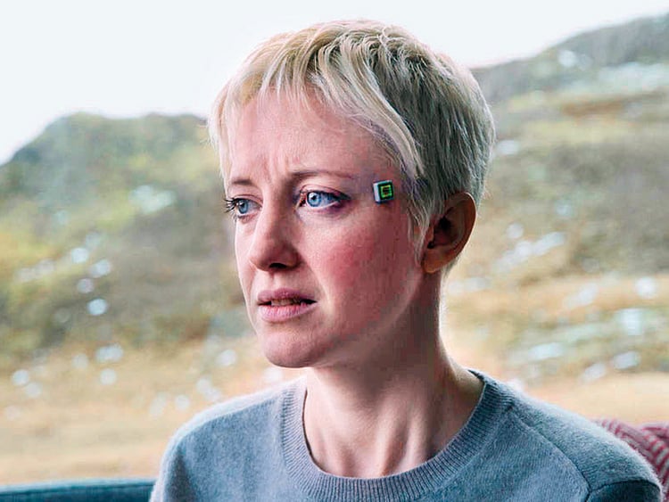 1.2146412-4247771645