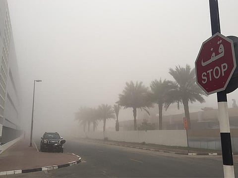 Fog in Dubai [File image]