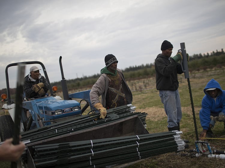 1.2148808-3709689513