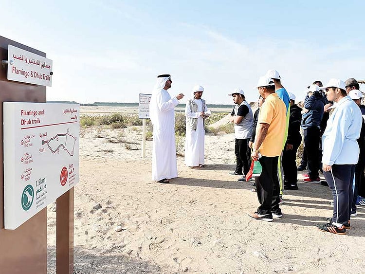 1.2148518-2029160614