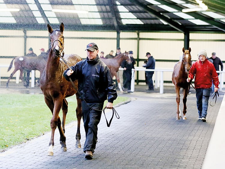 1.2134515-4001589743