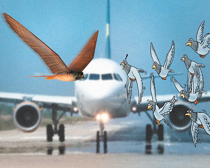 1.2134537-1946253958