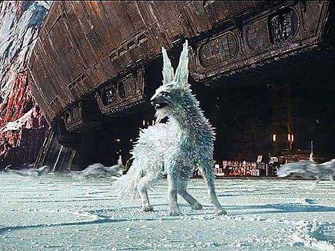 ‘Star Wars’ alien family expands to porgs, Caretakers