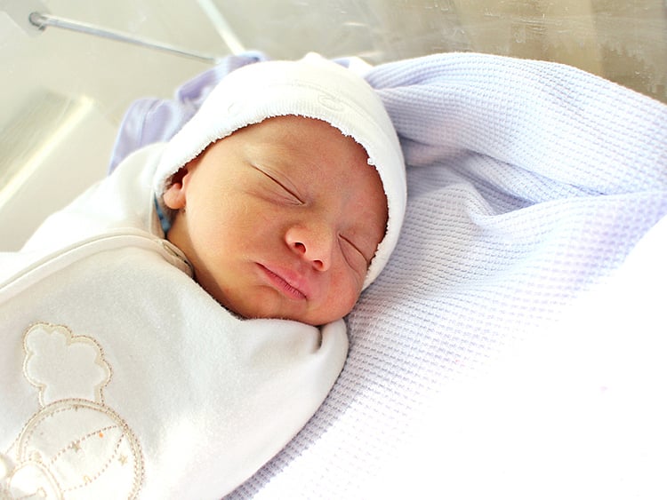 1.2149519-3560994142