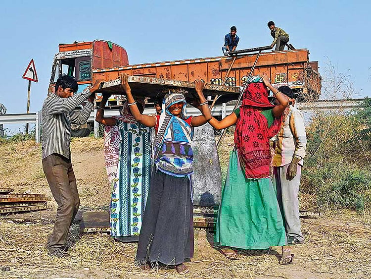 1.2135639-1445551712