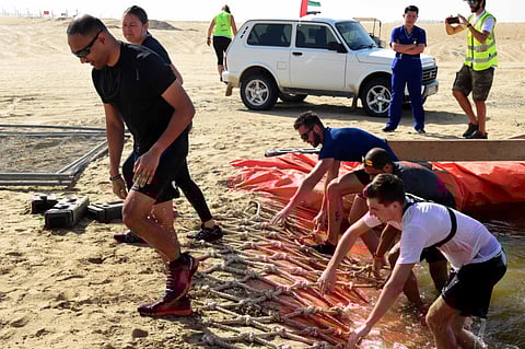 Staying fit: Are you ready for Tough Mudder?