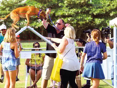 ‘Cats in carriages, dogs on short leashes please’