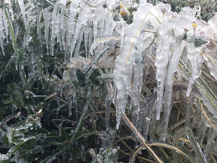 1.2136723-2679103048