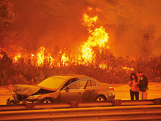 LA fires halt filming, threaten avocados, send Edison plunging