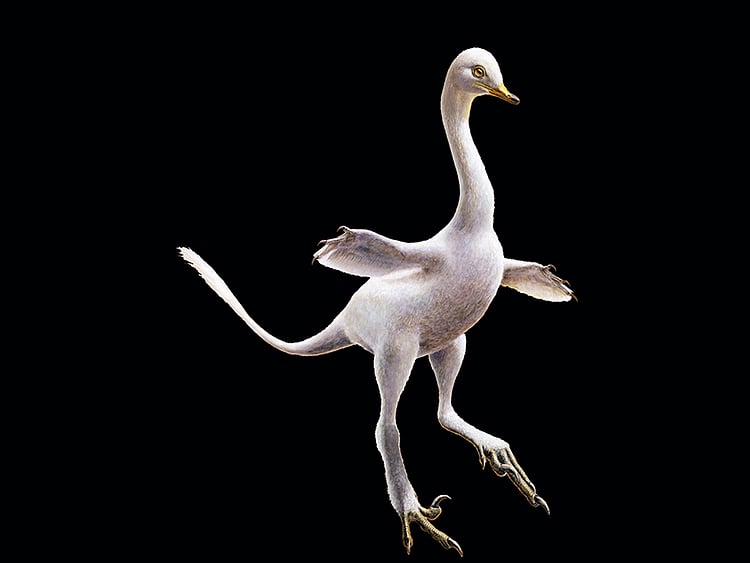 1.2137289-1843314616