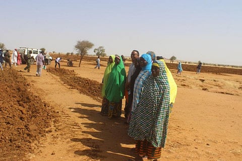 Niger women lose jobs to machines
